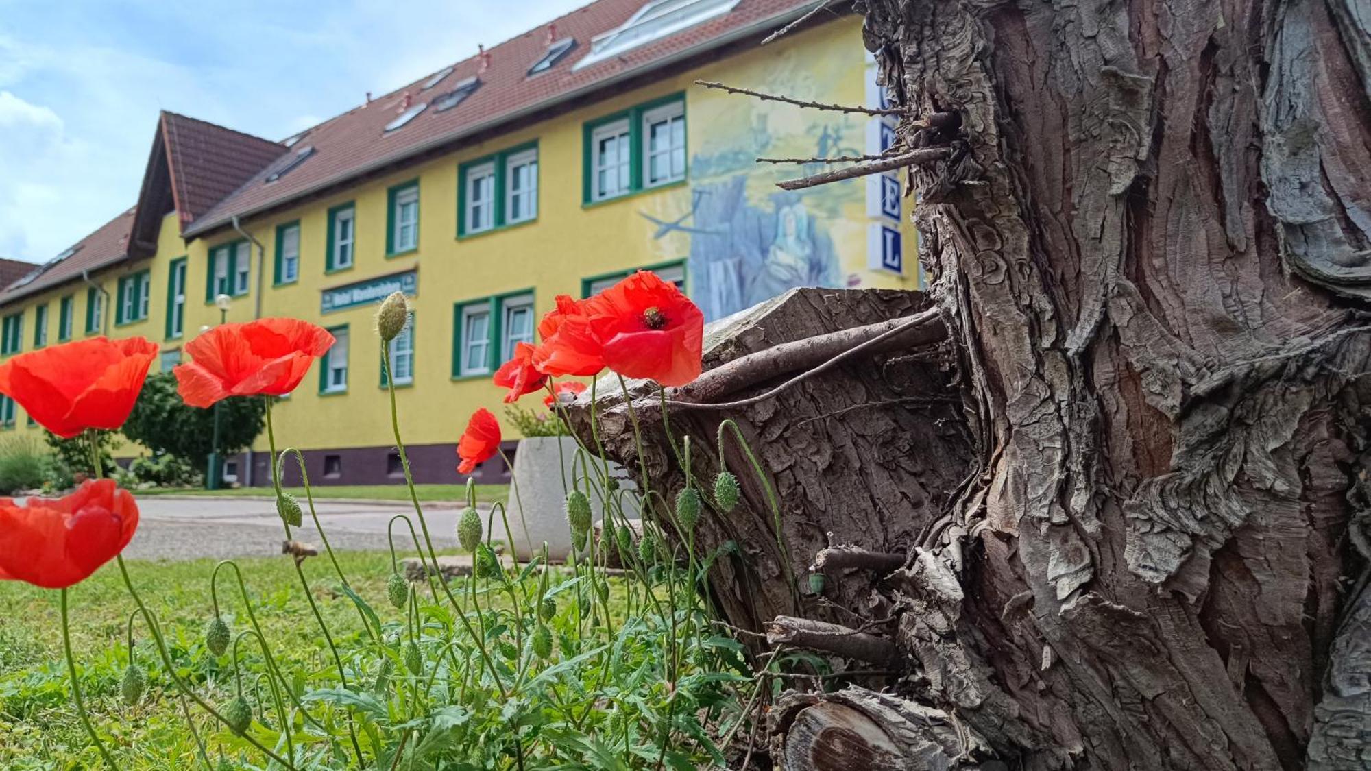 Hotel Wandersleben - Erfurt Luaran gambar