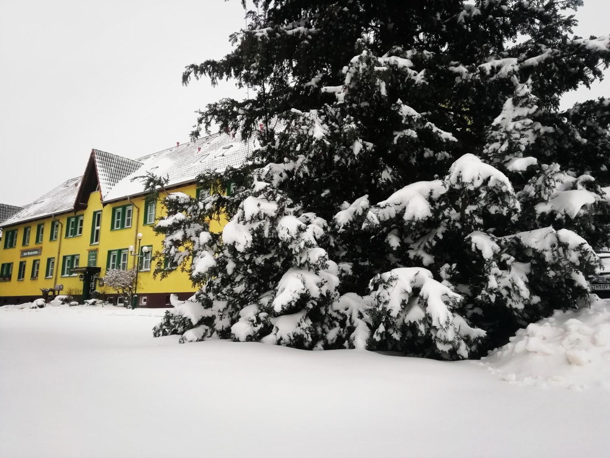 Hotel Wandersleben - Erfurt Luaran gambar